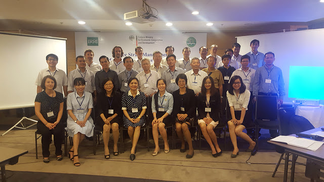 Rice experts gathered to chart future pathways for the rice straw market. The IRRI -BMZ rice straw project is investigating  ways to find new market outlets and developing value chains for rice straw.