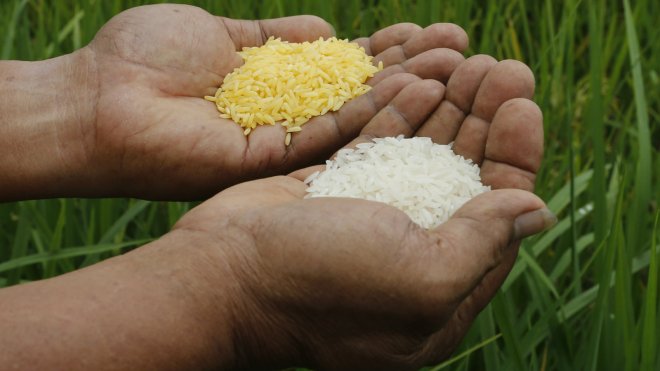 Rice, rice, baby. Reuters/Erik De Castro/Grist