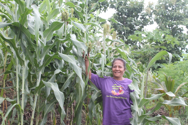 Yustina Jari is pictured at the 3-hectare sorghum farm she manages together with her husband, Yakobus Doni, in Kimakamak village of Larantuka Diocese in Indonesia's Flores Island. (Photo by Melkhior Koli Baran/ucanews.com)