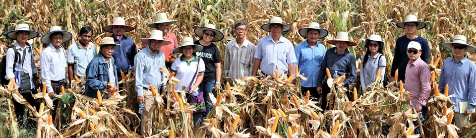 Cambodia NPSC members and SEARCA Team visit a maize farm in Battambang. Photo by Mr. Veng Phano, MAFF-GDA