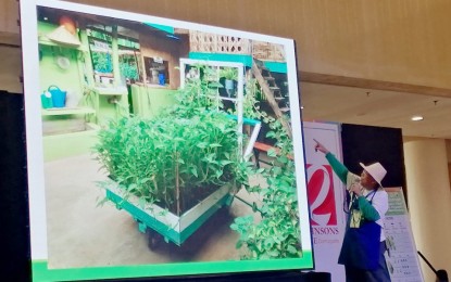 VEGGIES ON WHEELS. Honorio Cervantes, shows a photo of a "kariton" or wooden push cart planted with kangkong during his talk on square foot gardening in the "Agri-Talk" led by the Agricultural Training Institute-Region 7. The event was the first ever region-based forum in the entire country with Dumaguete chosen as its first venue held at a mall here on Wednesday (Sept. 18, 2019). (PNA photo by Judy Flores Partlow)