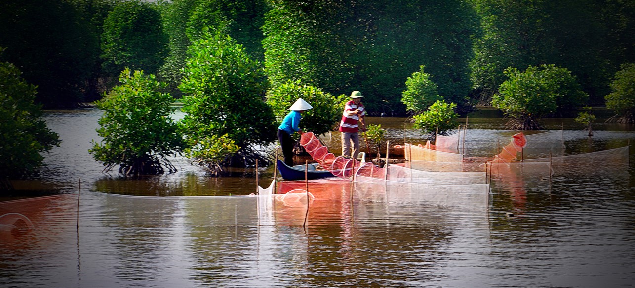 Photo by Vu Thanh/SEARCA